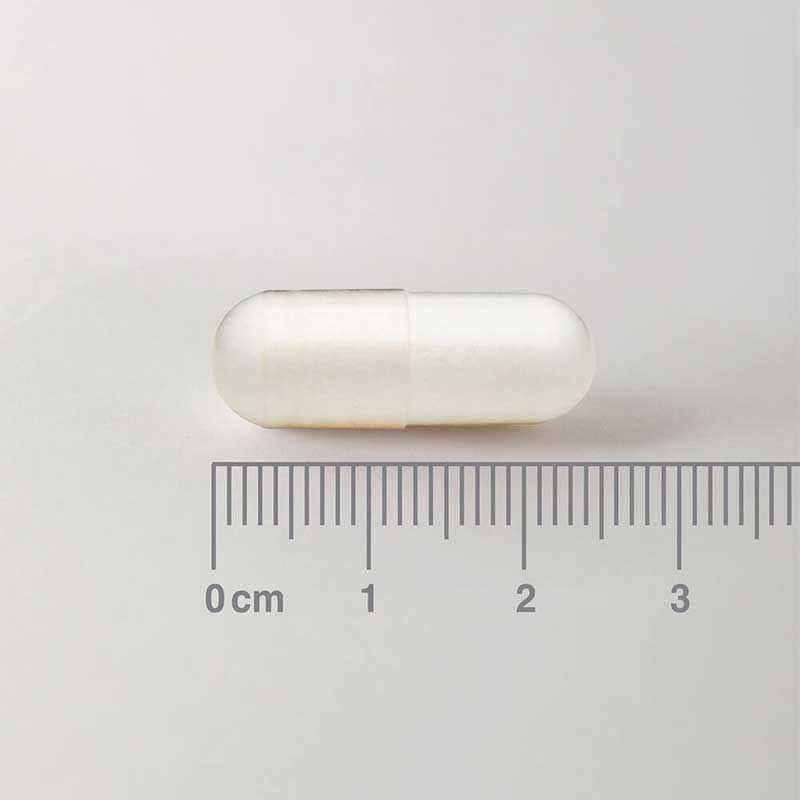 301798 LAMBERTS L Methionine 500mg 60cap pharmabest 2