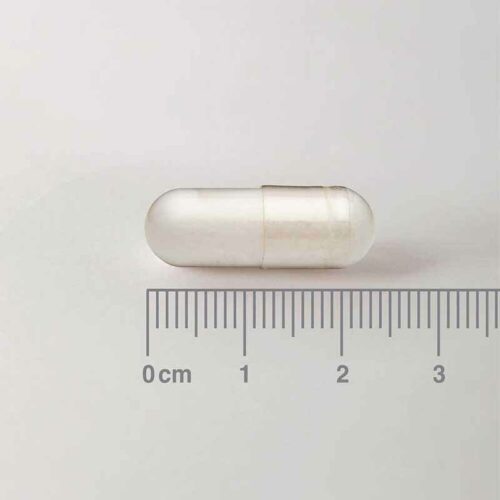 313297 LAMBERTS Acetyl L Carnitine των 500mg 60cap pharmabest 2