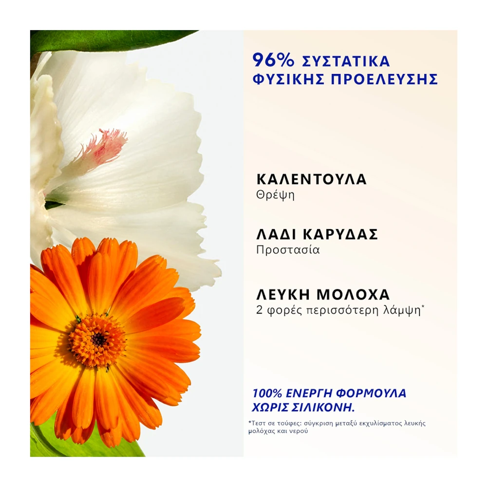Phyto Plage Rehydrating After-Sun Detangling Spray-Σπρέι Ξεμπερδέματος & Επανυδάτωσης Μαλλιών για Μετά τον Ήλιο 150ml Phyto Plage Rehydrating After-Sun Detangling Spray-Σπρέι Ξεμπερδέματος & Επανυδάτωσης Μαλλιών για Μετά τον Ήλιο 150ml - Image 3