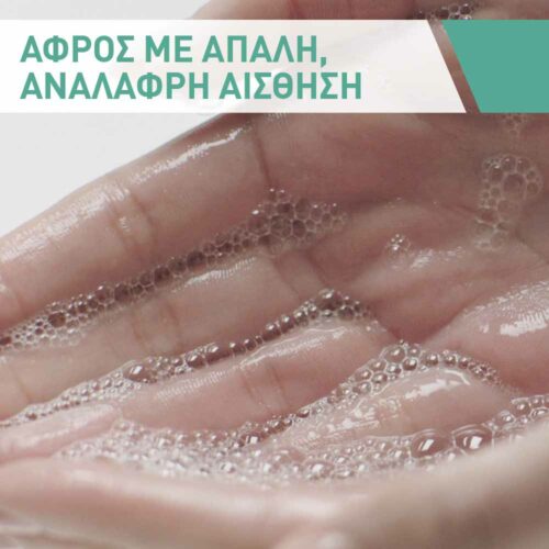 3337875597197 CeraVe Gel Καθαρισμού 236ml Pharmabest 3